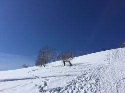 -大秃顶子山