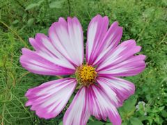 -龙门涧景区