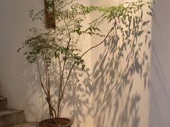 -花迹(富春江东街店)