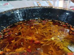 -金三可市井水煮鱼(金碧园店)