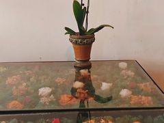 -北平花园·MUA摩造汉堡·北平咖啡(南锣鼓巷胡同店)