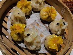 -点都德·毕德寮