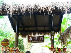 -呀诺达热带雨林