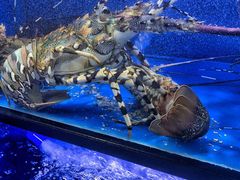 -盒马鲜生(曜一城店)