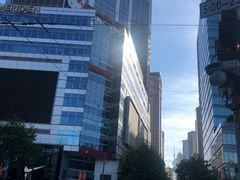 -上海南新雅大酒店