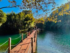 -鼎湖山风景区