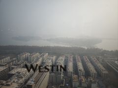 -湖景知味西餐厅•自助餐• 轻食(南京金茂威斯汀大酒店)