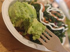 -油梨树 AVOCADO TREE(亮马桥店)