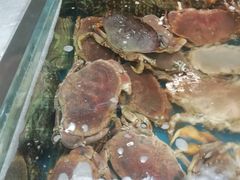 -盒马鲜生(大成店)