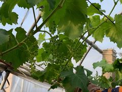 -美家乐农庄·露营·团建(大治路店)