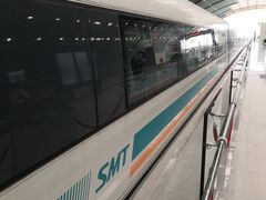 -龙阳路磁悬浮列车总站-停车场