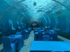 -海棠湾洲际-涛·海底餐厅·美人鱼·自助餐·海底隧道