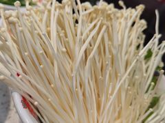 -龙厂长老火锅(抚琴店)