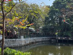 -荔湾湖公园