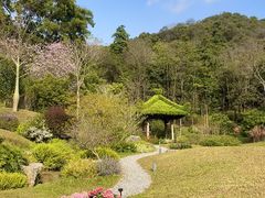 -云溪植物园