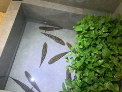 -同釜聚炝锅鱼火锅