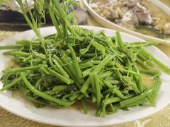 蒜蓉炒佛手瓜叶-粤友餐厅