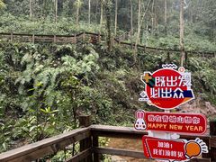 -青城山