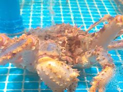 -百富源·海鲜辽菜(张士店)