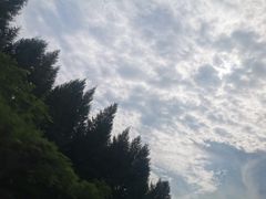 -美人松苑