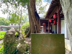 -上海醉白池公园