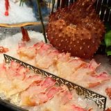 乐品券1000-400锁定！吃过都想再来