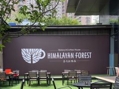 -喜马拉雅森HIMALAYAN FOREST