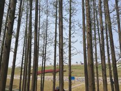 -南京金牛湖风景区