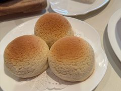 雪顶雄峰-利苑酒家(金宝店)