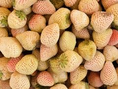 -南坛综合农贸市场