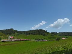 -关山草原