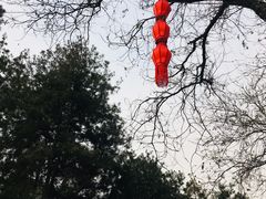 -七贤国际青年旅舍(西七路分店)