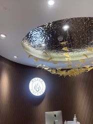 -MUSES专业脱毛比基尼サロン日式连锁