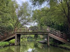 -同里国家湿地公园
