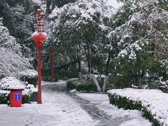 -郑和公园