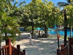 -三亚海棠湾万丽度假酒店