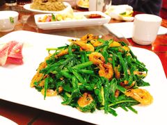韭菜炒小河虾-北京小肠陈饭庄(方庄店)