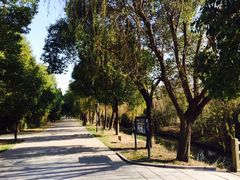 iphone_upload_pic-溱湖国家湿地公园