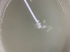 -长平肥姐白粥·海鲜打冷