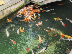-寒山寺