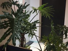 -CAFE'IN精品咖啡体验空间(小寨店)