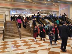 -澳门威尼斯人综合度假区