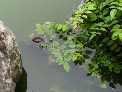 -宣武艺园