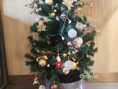 -COSTA COFFEE(百联又一城店)