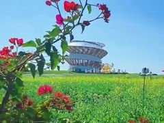 -光明小镇欢乐田园