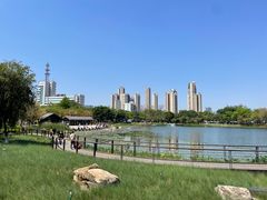 -映月湖公园