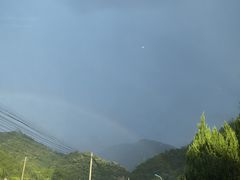 -千岛湖石林