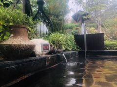 -凤翔首邑温泉度假村