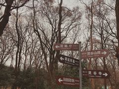 -灵谷景区