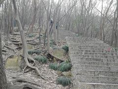 -紫金山索道-售票处